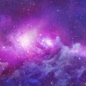 Meet your Posher, Rayan